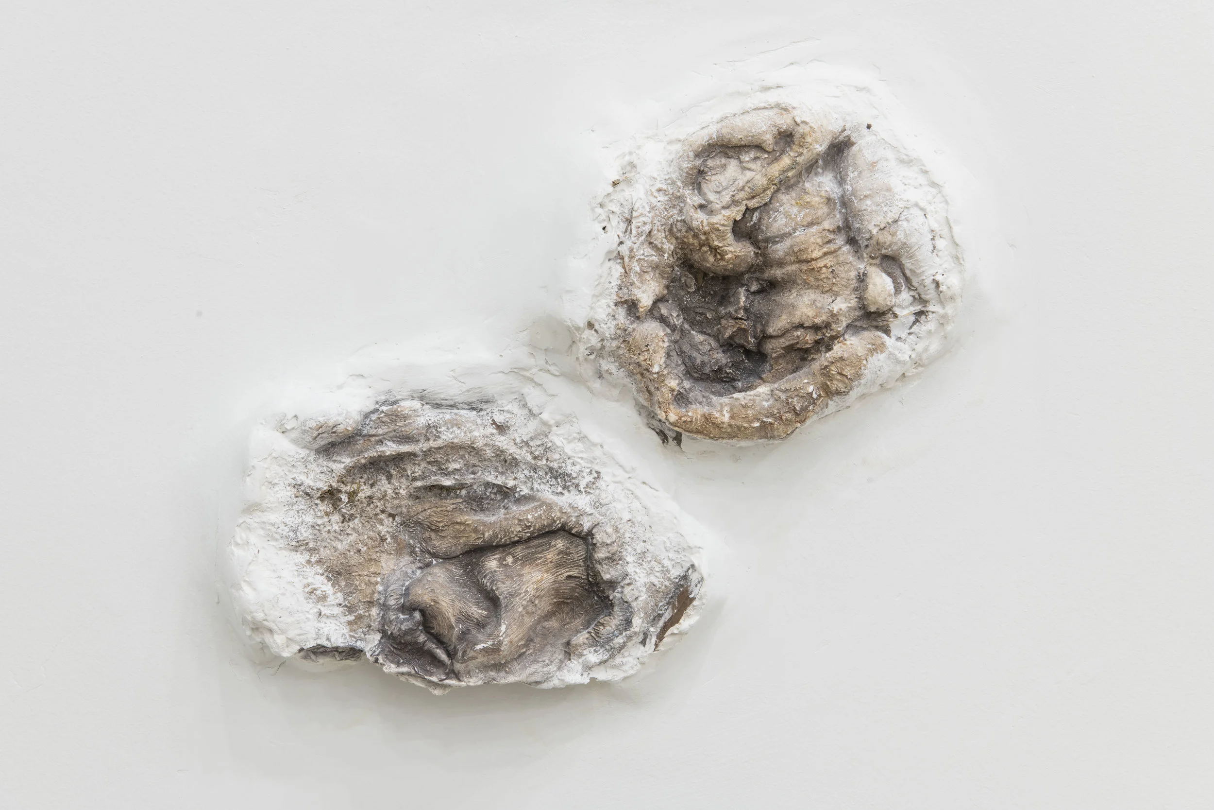 Burl