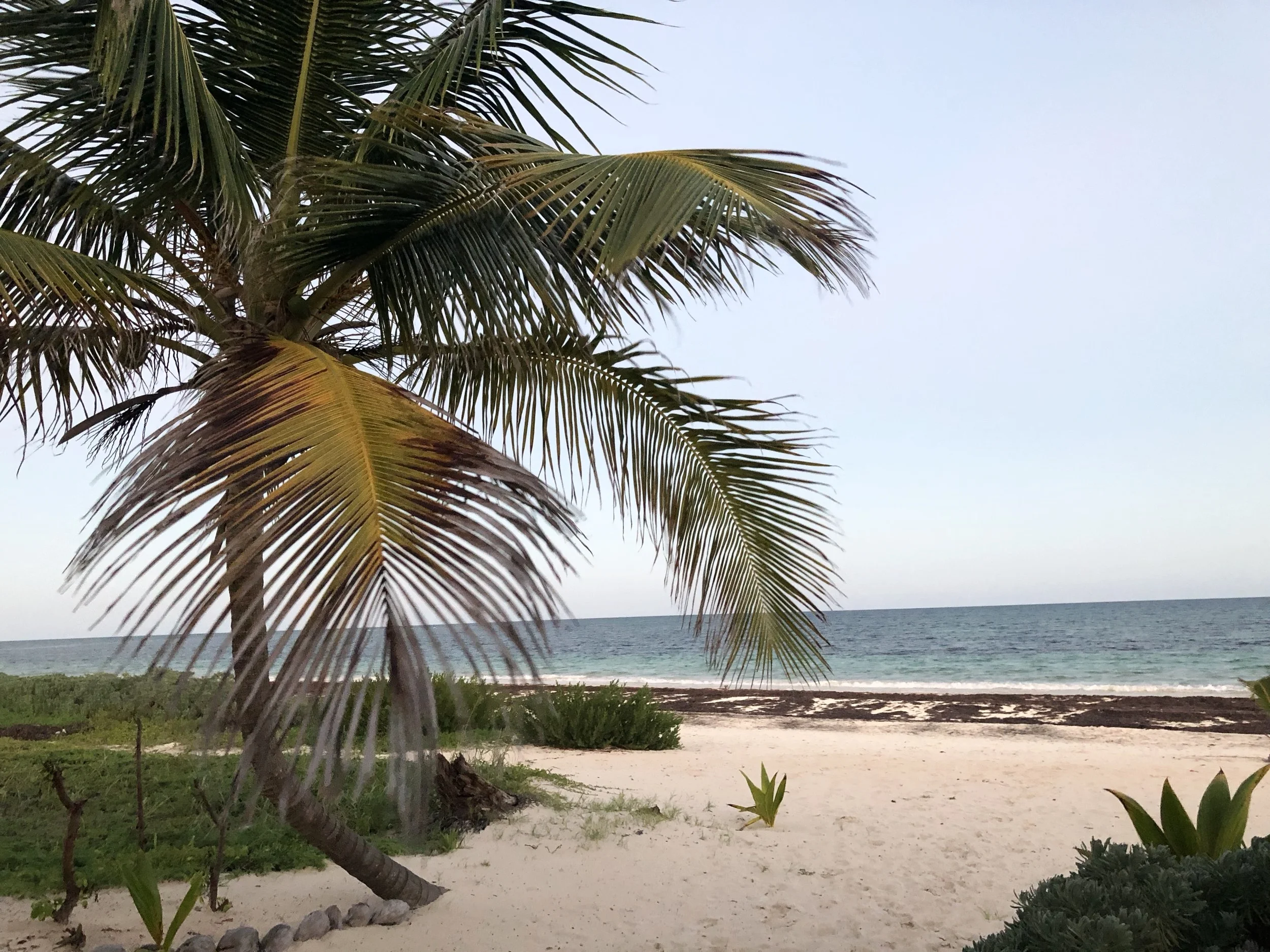 Afternoon in Sian Kaán, Mexico