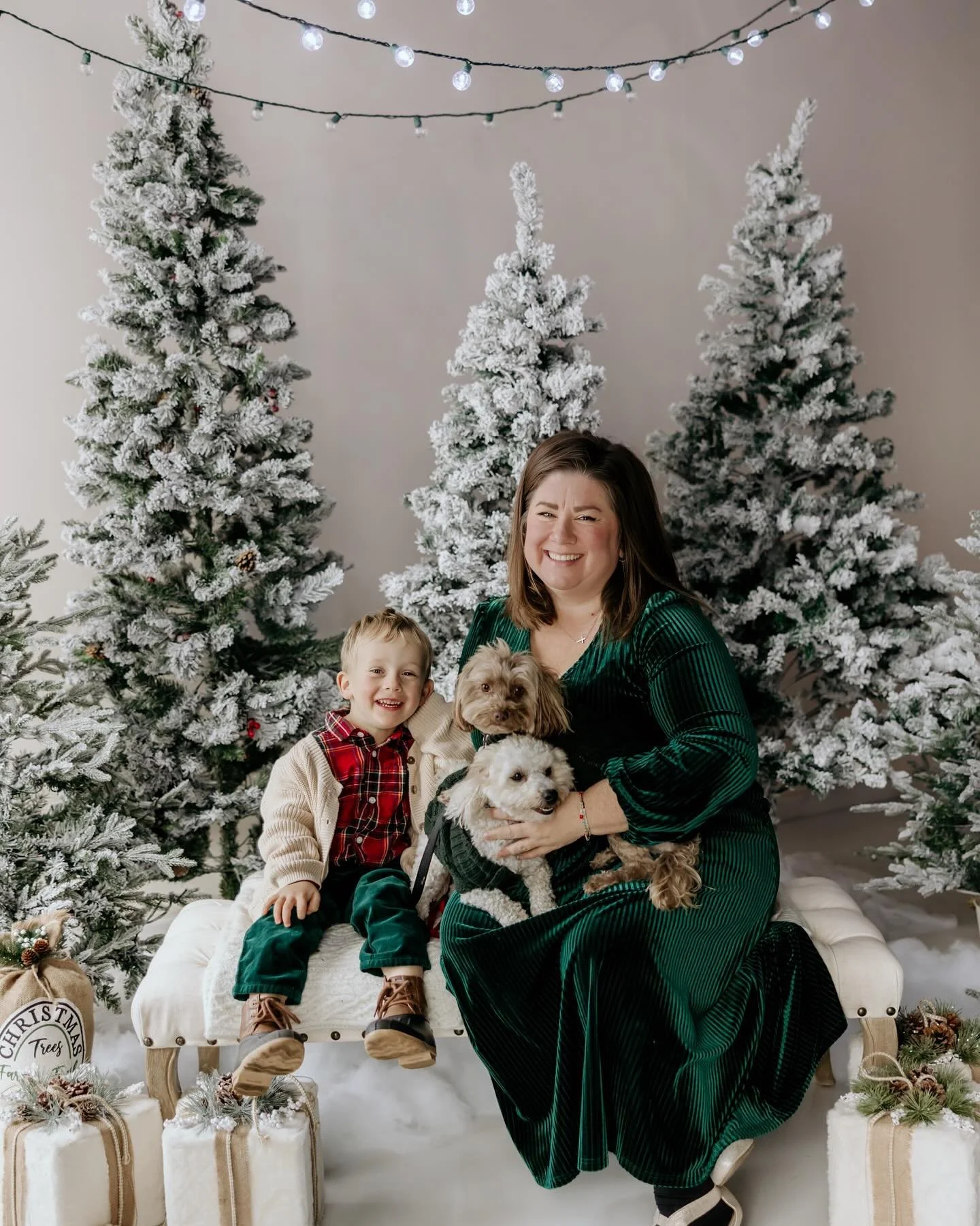 Frosted trees, cozy snuggles, and all the holiday magic ✨
&bull;
&bull;
#HolidaySession #ChristmasMiniSession #WinterWonderland #HolidayPhotos #FamilyPhotos #PhotographerLife #CozyVibes #StudioMinis #FrostedTrees #HolidayMagic #BuffaloPhotographer #W