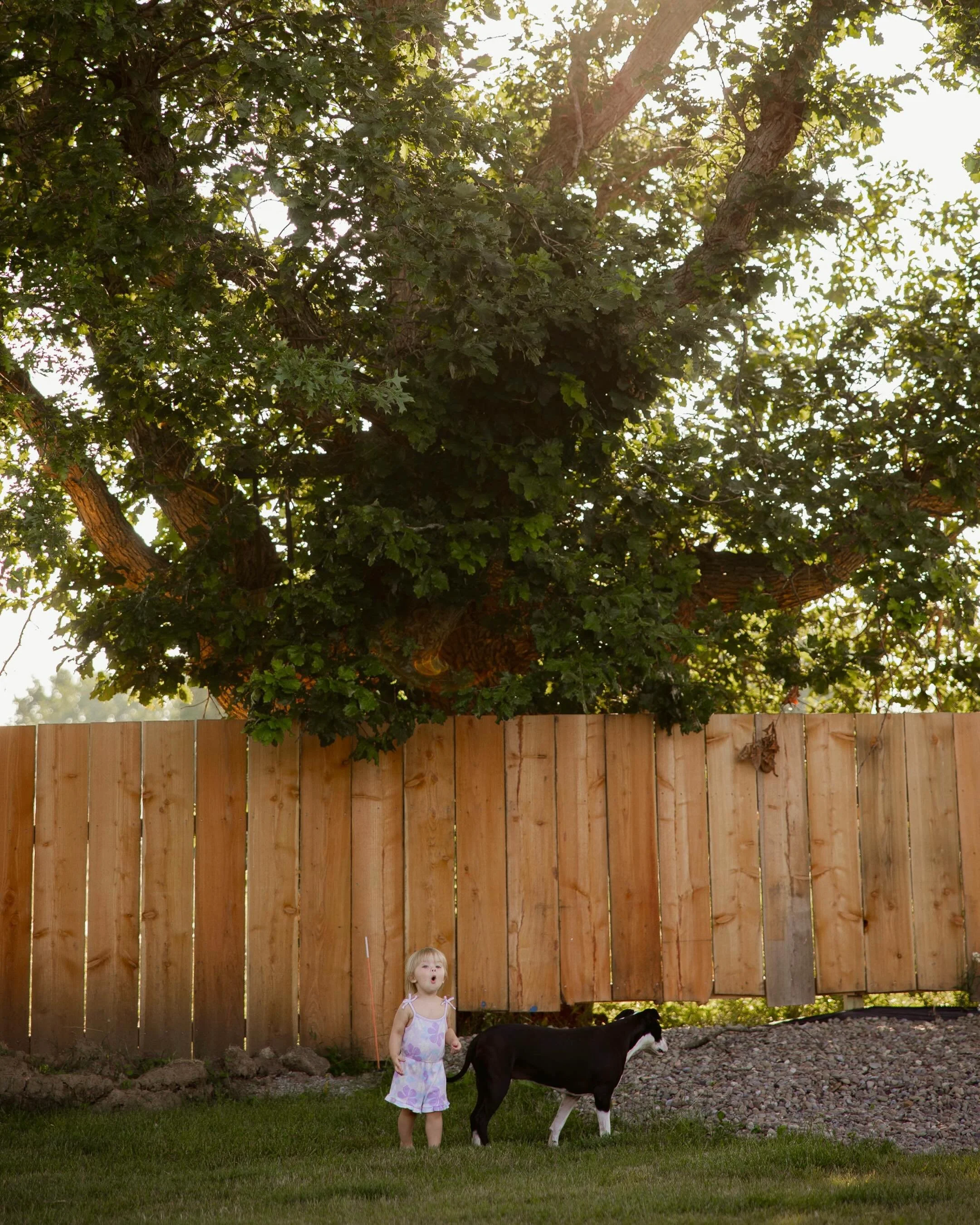 Sometimes the most magical backdrop isn&rsquo;t a destination&hellip; it&rsquo;s home. ✨ 
&bull;
&bull;
#BackyardSession #LifestylePhotography #FamilyPhotographer #BuffaloPhotographer #WesternNYPhotographer CandidChildhood