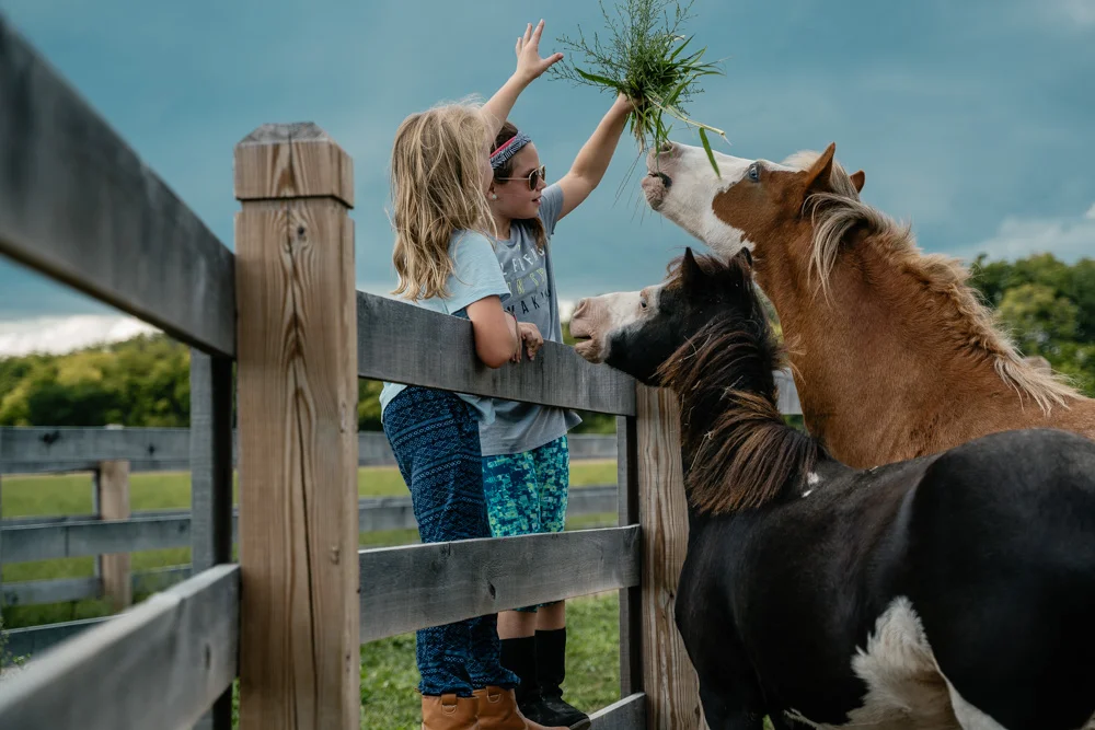 White River Campground 4
