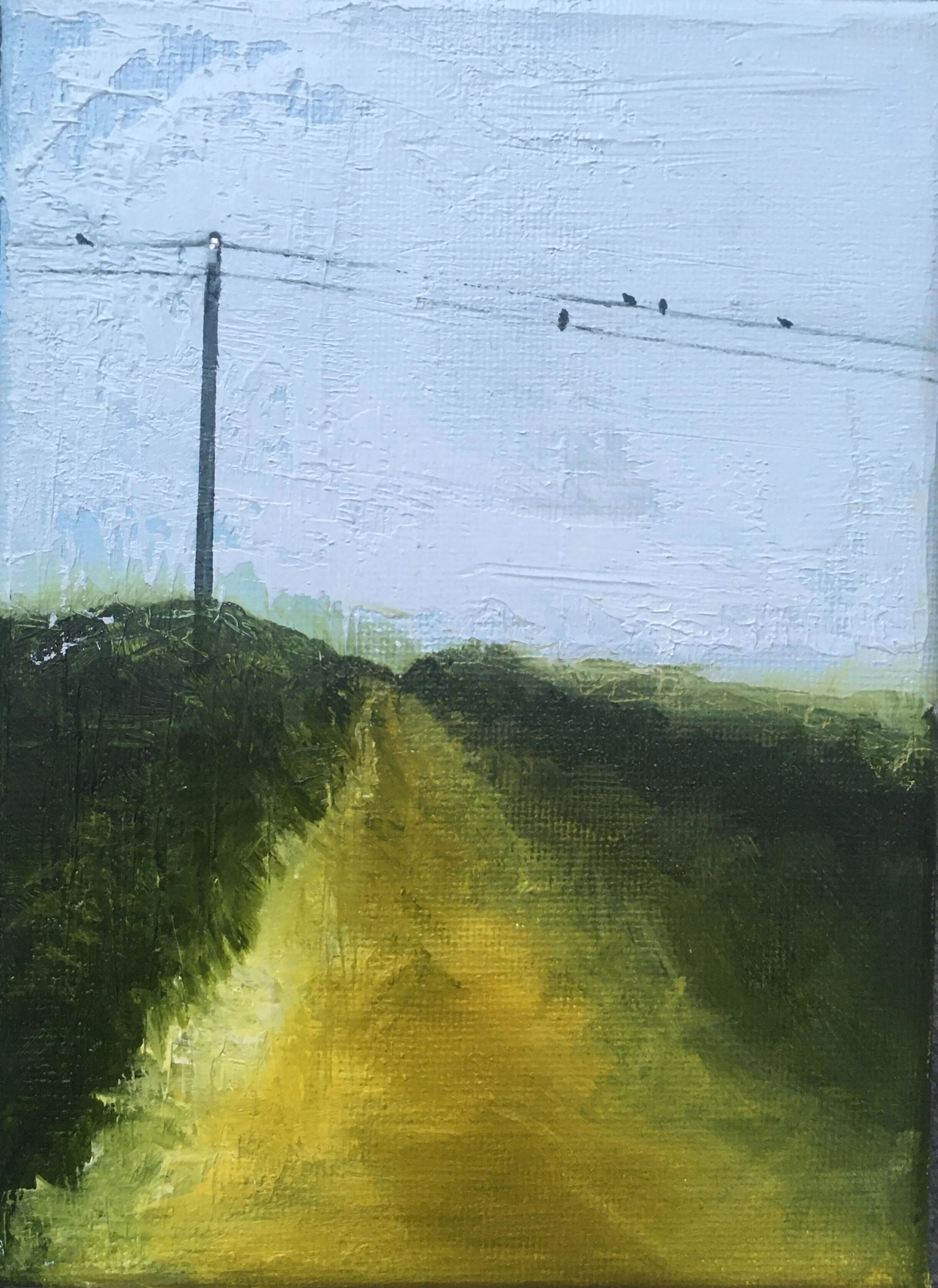 The+grassy+road+-+Long+Island.jpg
