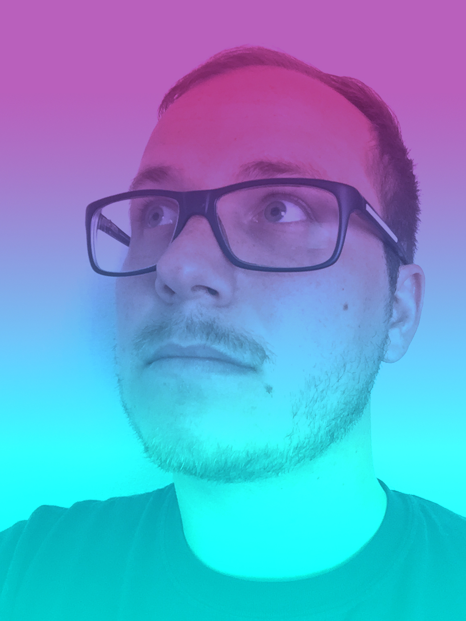 Dane Heins | Principal