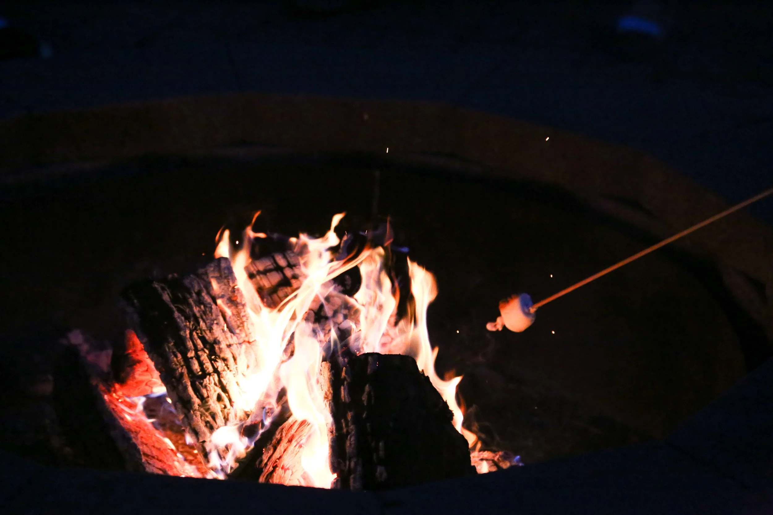 Five Reasons to Be a Season Siter