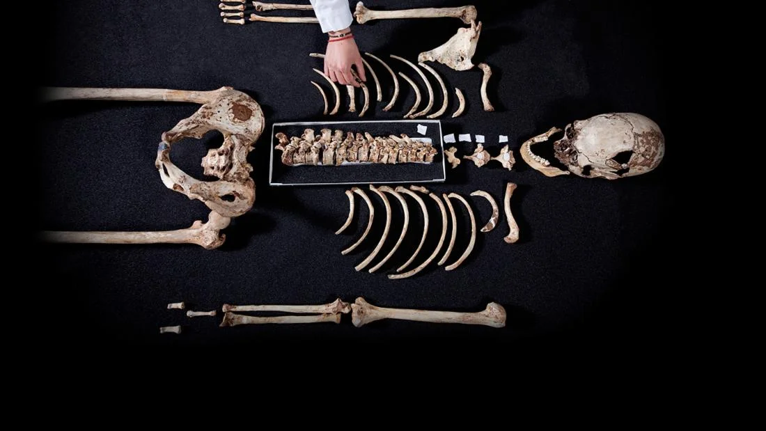 Cheddar Man's complete 10,000 year old skeleton was originally discovered in 1903 Image credit: © Channel 4/Plimsoll Productions