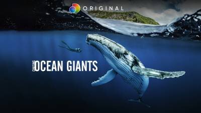 Chasing Ocean Giants.jpeg