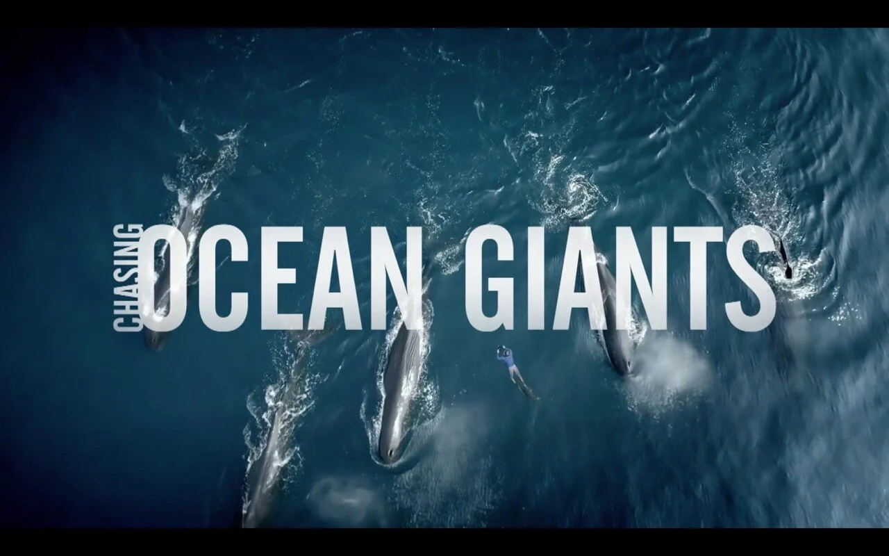 'Chasing Ocean Giants'  Discovery+ 