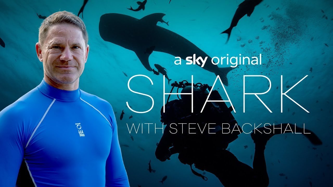 Shark+with+Steve+Backshall.jpg