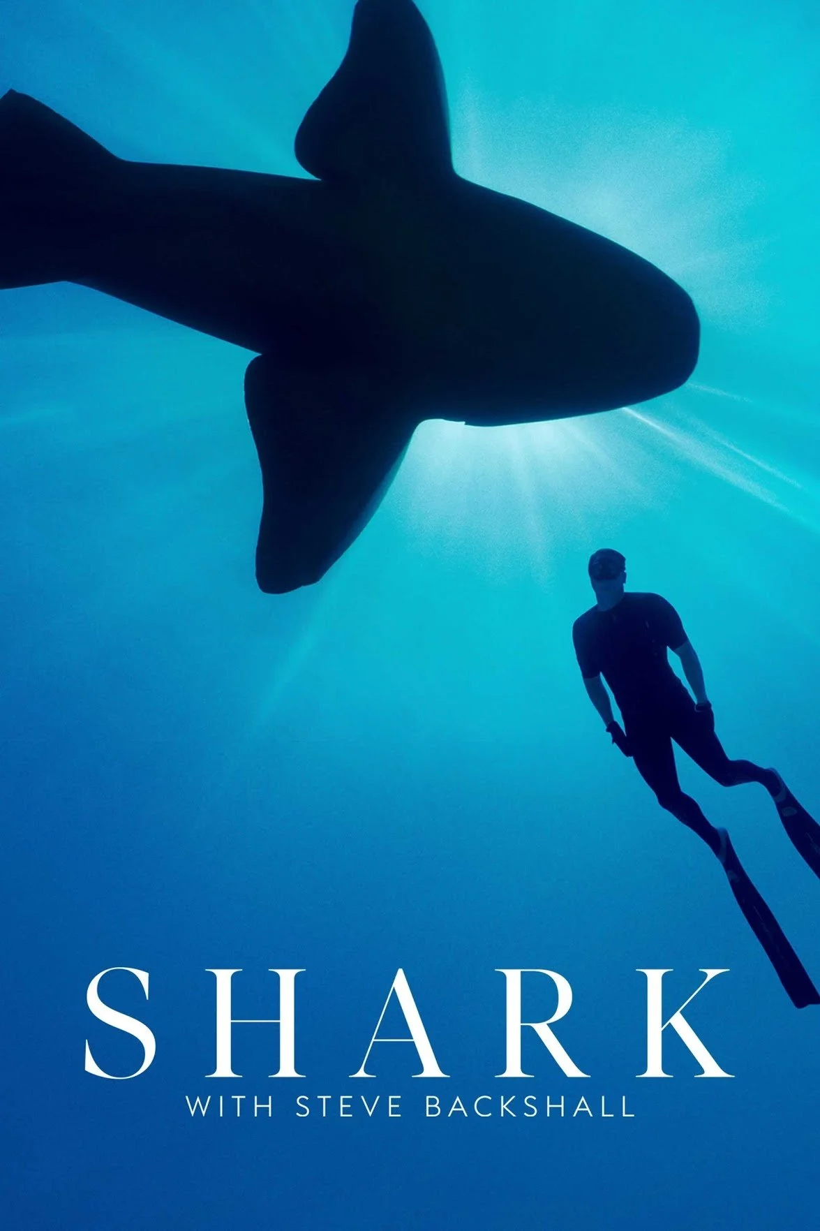Shark with SB Poster.jpg