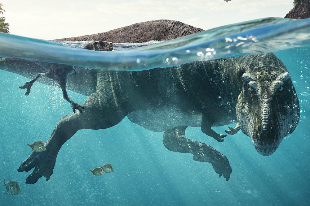 Shooting Underwater VFX Plates