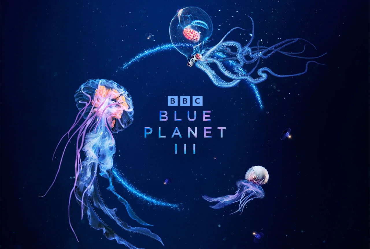 Blue Planet III Coming Soon....