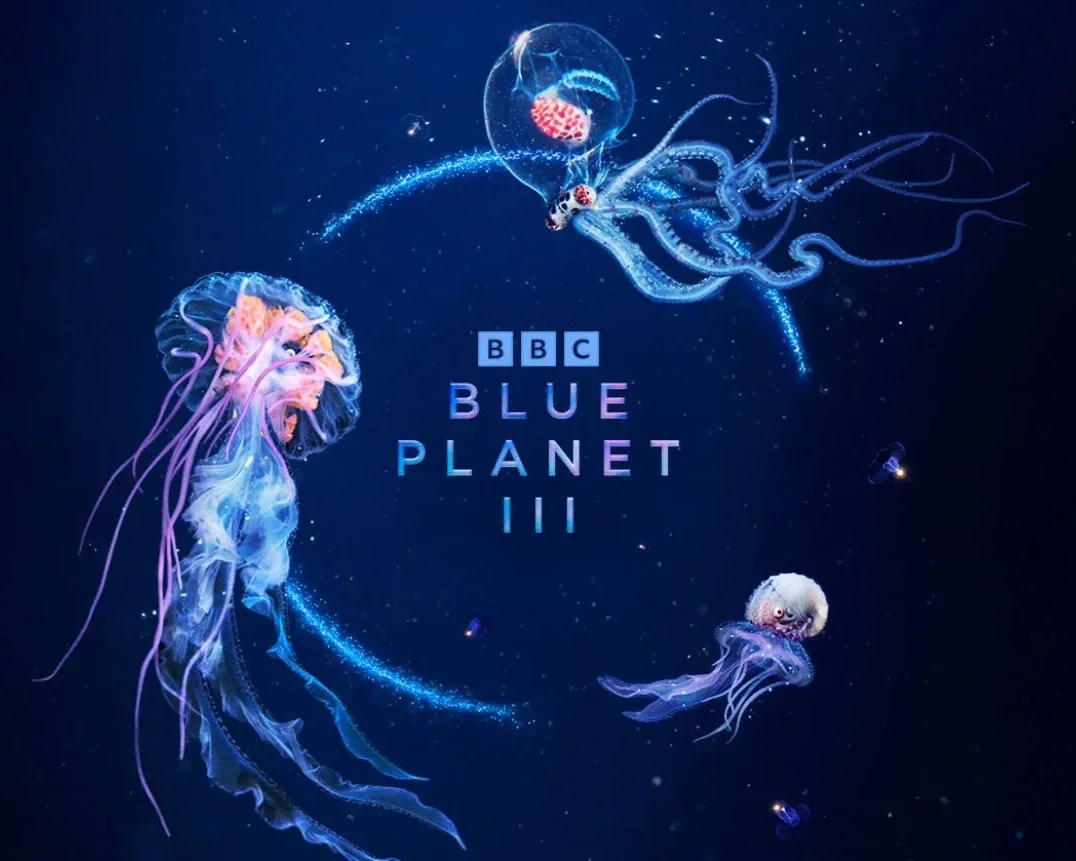 blueplanetthree1.webp