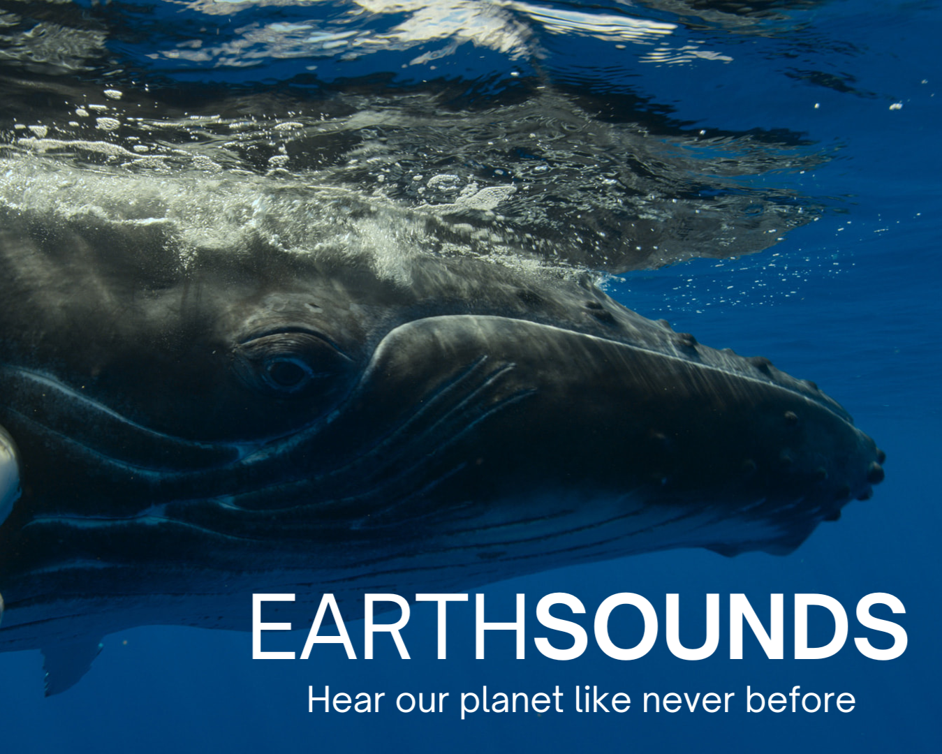 EARTHSOUNDS+v2.png