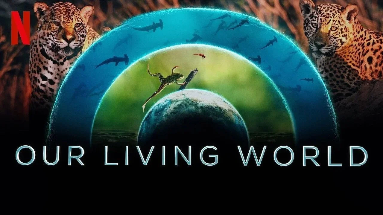our-living-world.jpg