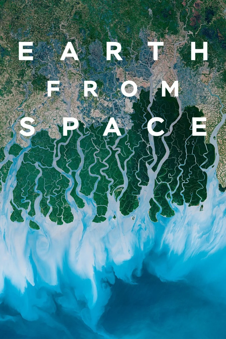 Earth from Space Poster for Earth from Space, showing a satellite view of a mangrove delta meeting the sea, with topside cinematography by Mark Sharman