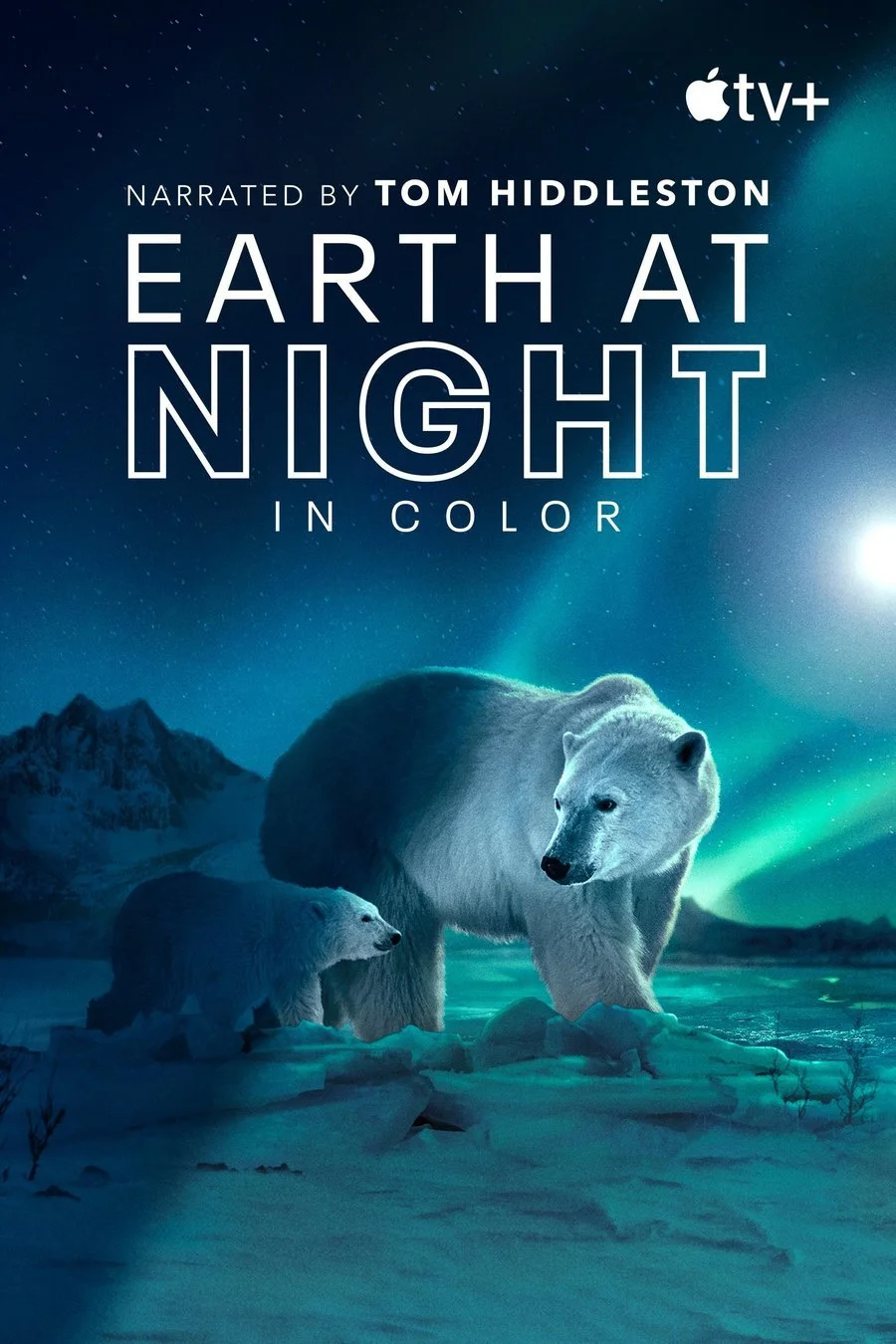 Earth at Night in Color Poster for Earth at Night in Color on Apple TV+, showing a polar bear and cub under the northern lights, with topside cinematography by Mark Sharman