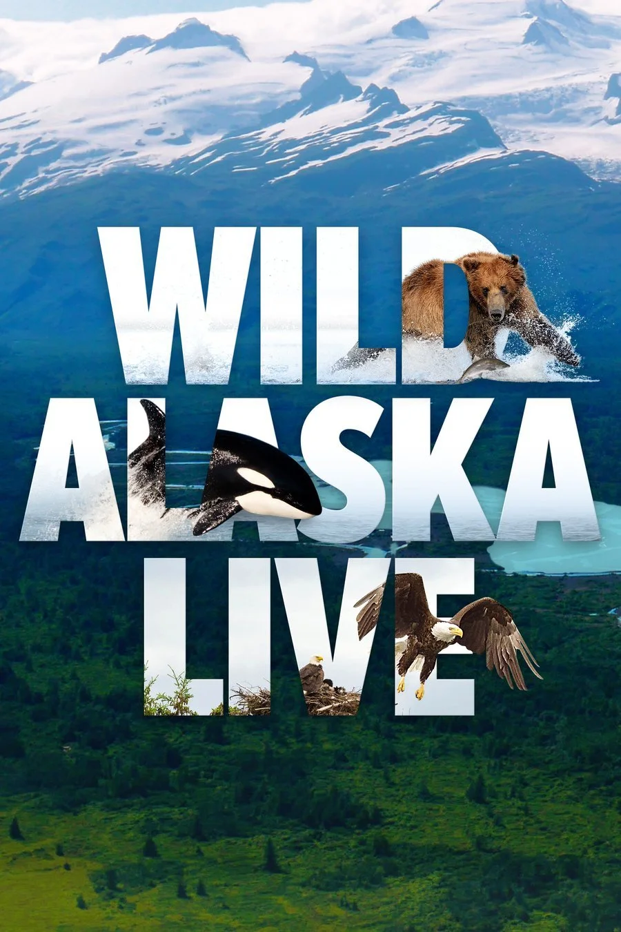 Wild Alaska Live Poster for Wild Alaska Live, with a bear, an orca and an eagle inside the title letters, with topside cinematography by Mark Sharman