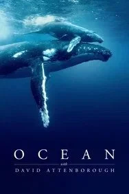 Ocean with David Attenborough poster. Underwater cinematography by Mark Sharman.