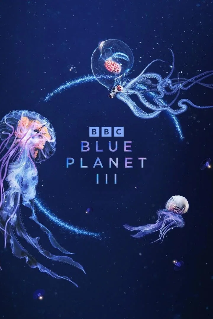 Blue Planet III poster. Underwater cinematography by Mark Sharman.
