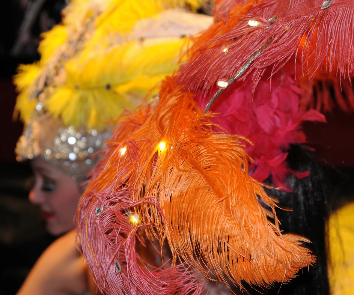 Electric Showgirls, detail 1, Divine Company.jpg