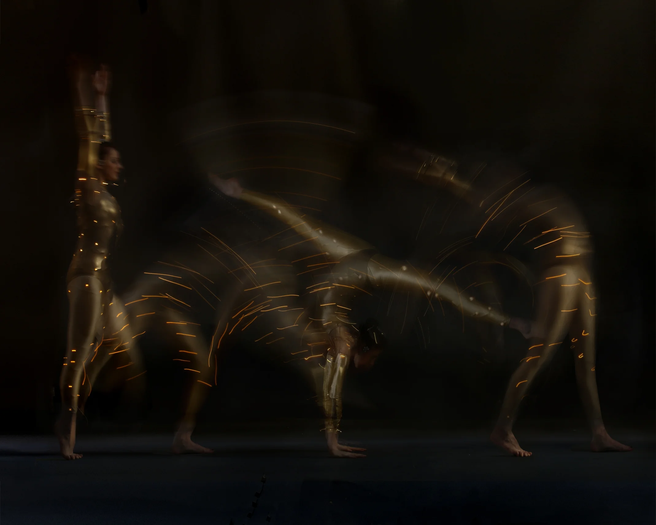 Gold 4, Divine Company.jpg