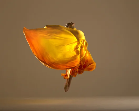 Optioscope in yellow, Divine Company.jpg