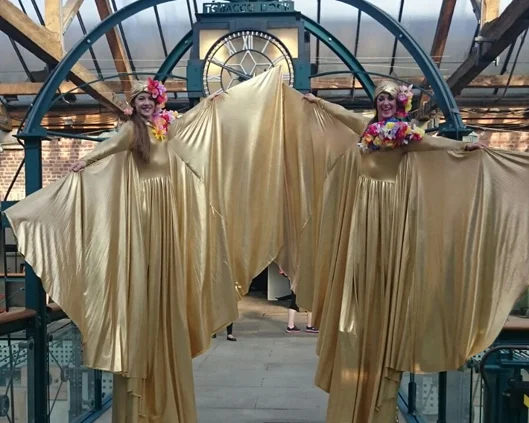 Optioscopes in gold, stilt performance 6, Divine Company.jpg
