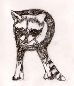 Scanned Image 111080011.jpeg