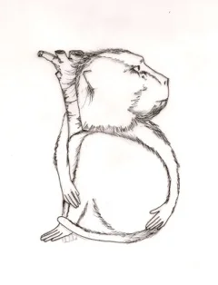 Scanned Image 111560003.jpeg