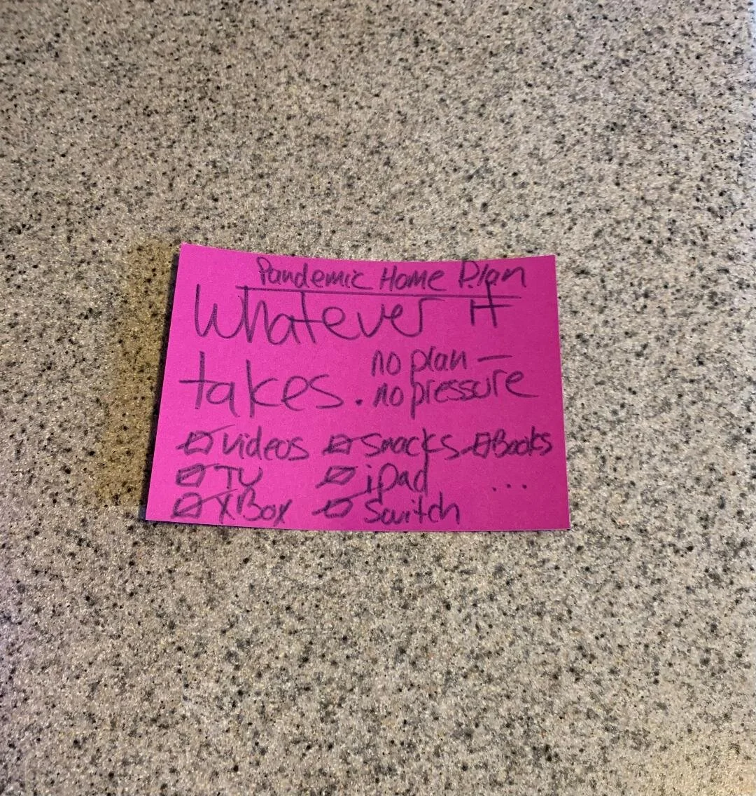 Pandemic Home Plan (Part 2)