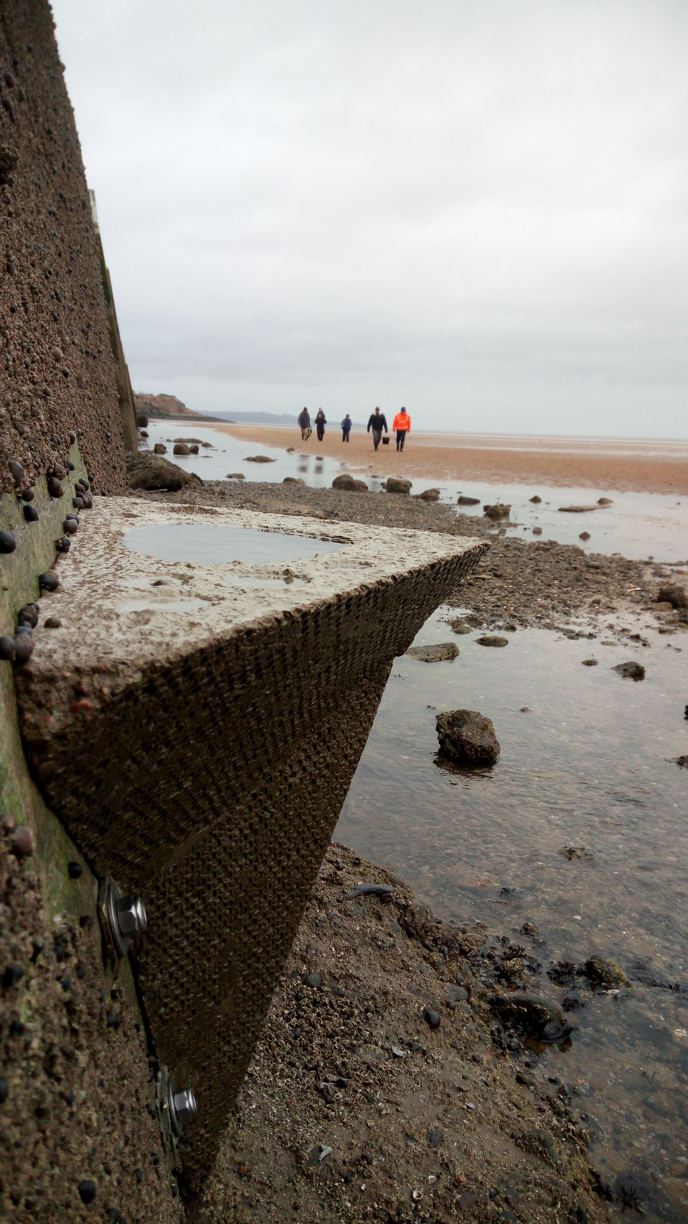 10ltr Vertipool in Crammond Scotland. Artificial rock pool habitat.