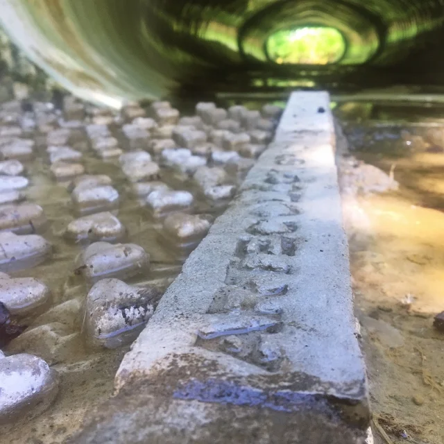 Looking up through the Holbrookes culvert