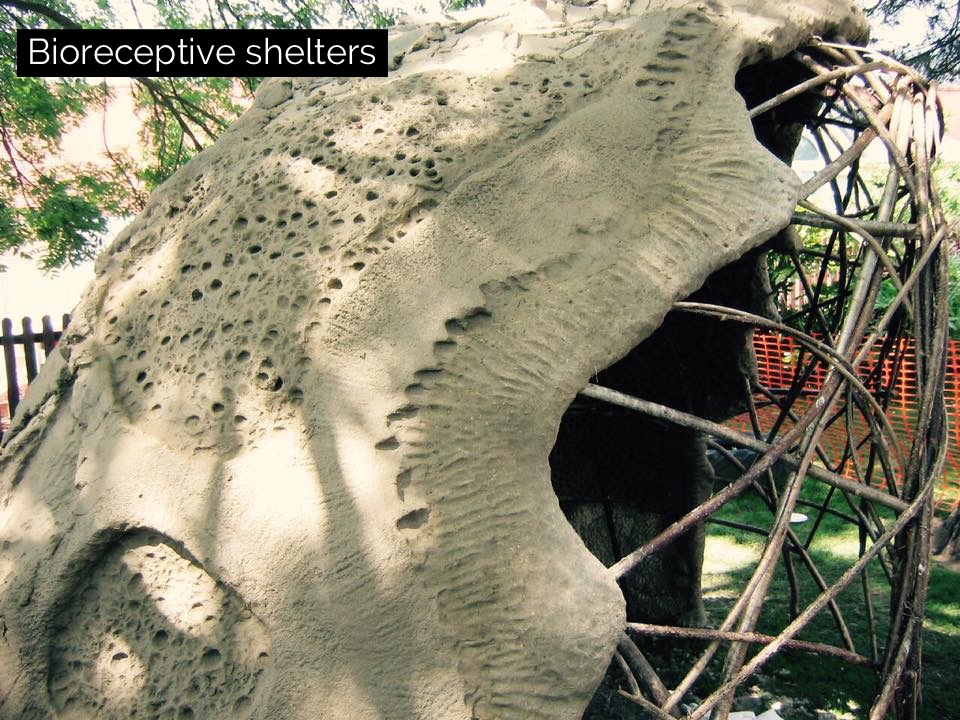 Bioreceptive Shelters