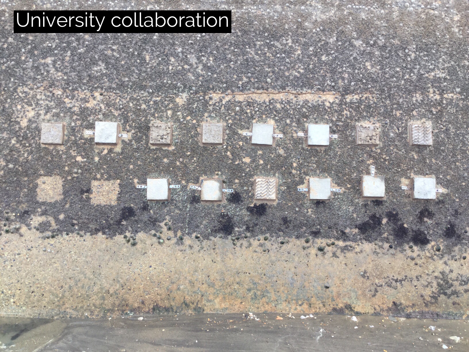 University Collaboration