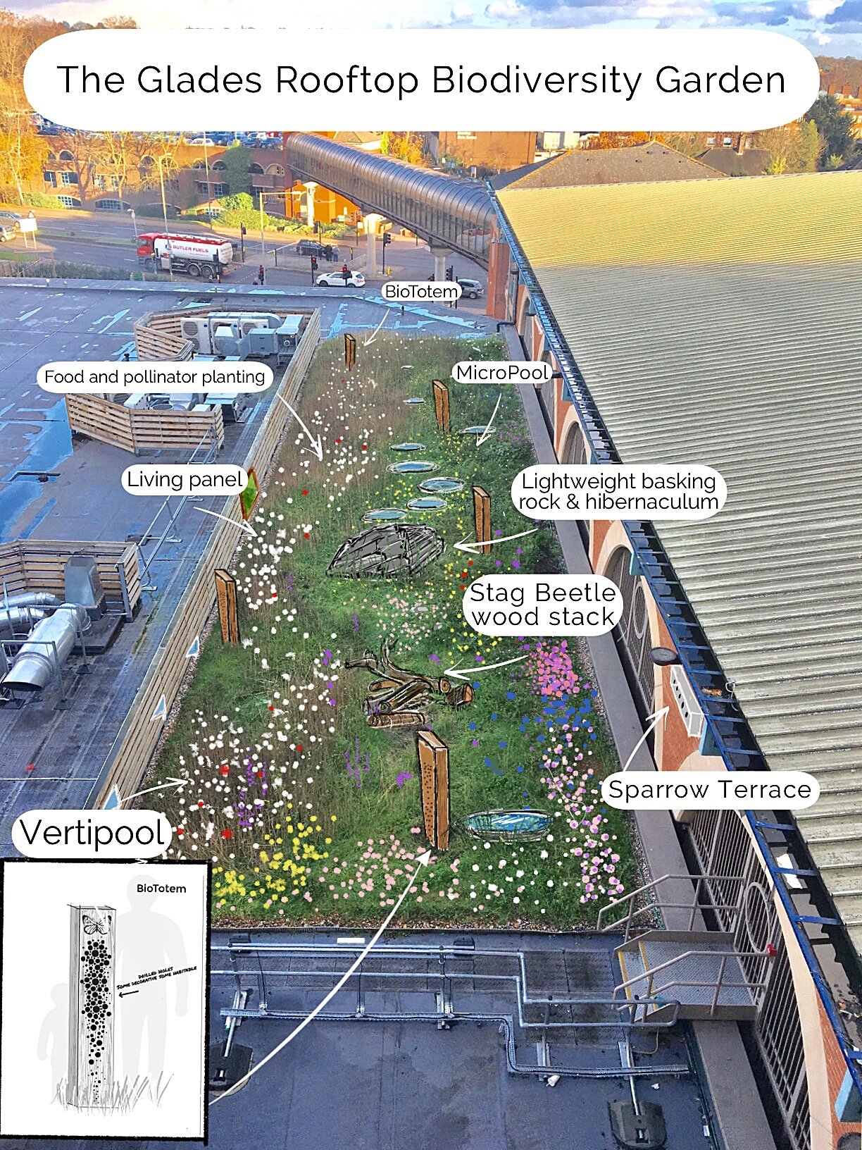 rooftop garden draft design.jpeg