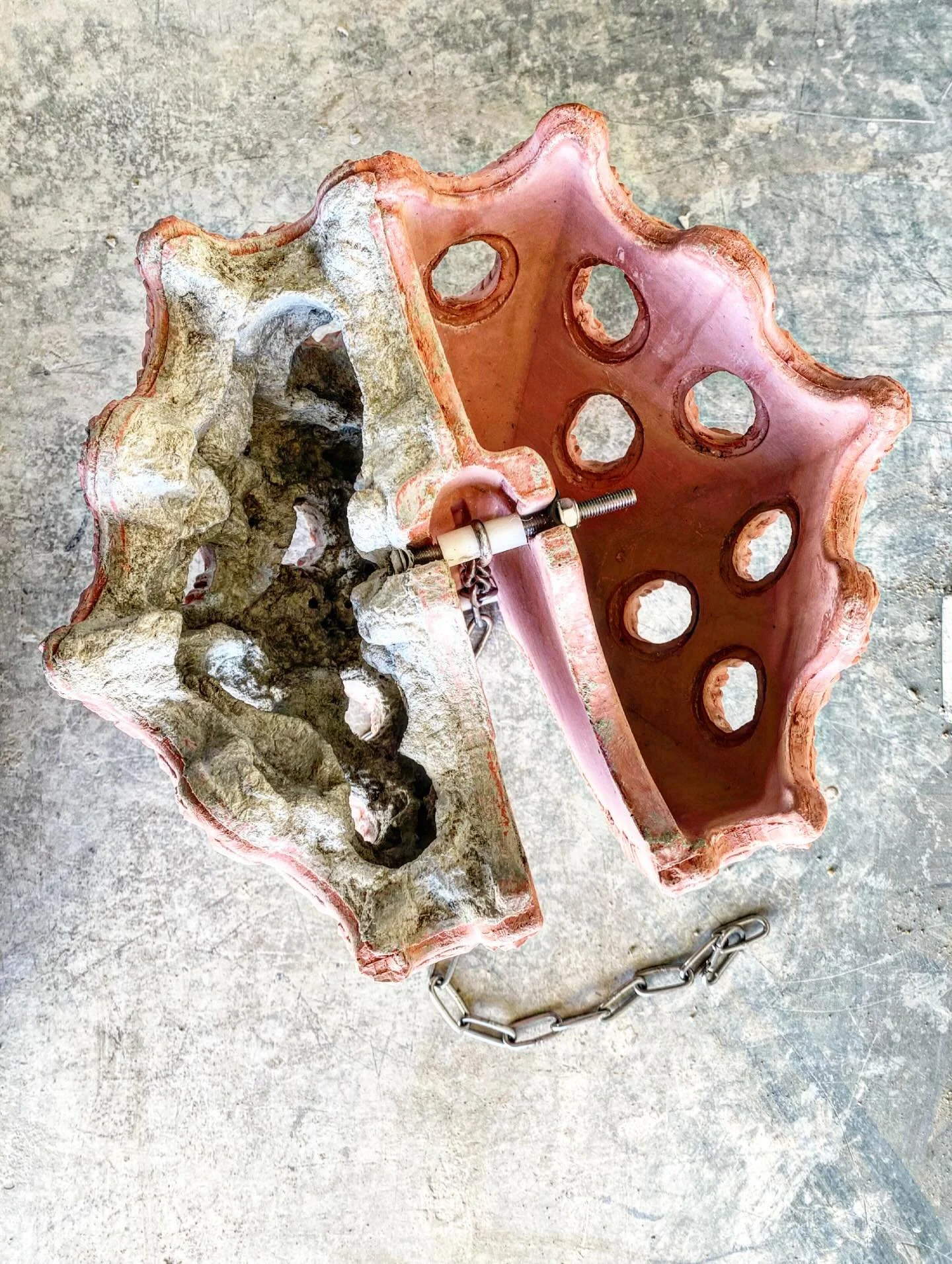 Collab with @biomatrixwatersolutions - 
Shelter Shell meets the Artecology Works.

Lightweight, complex texture, highly bioreceptive, cementitious treatment.