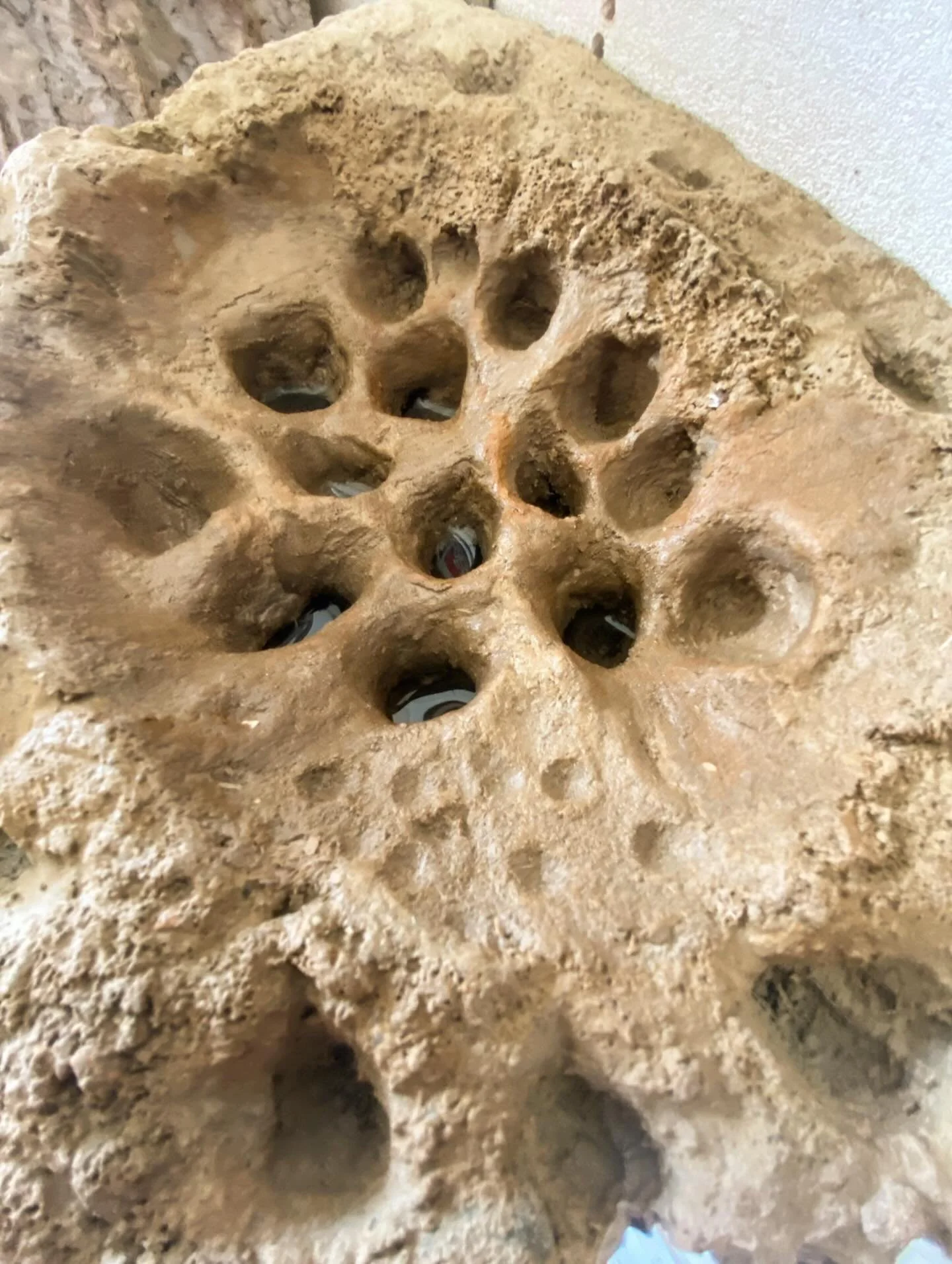 Texture, pattern, and form&hellip;..