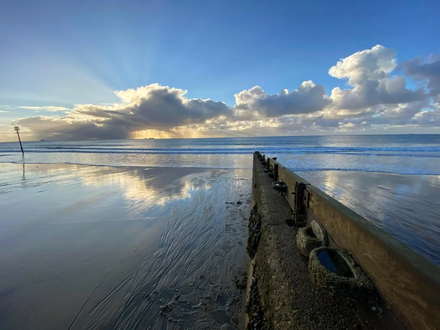 What a morning at Science Beach in Sandown Bay!
#iwbiosphere