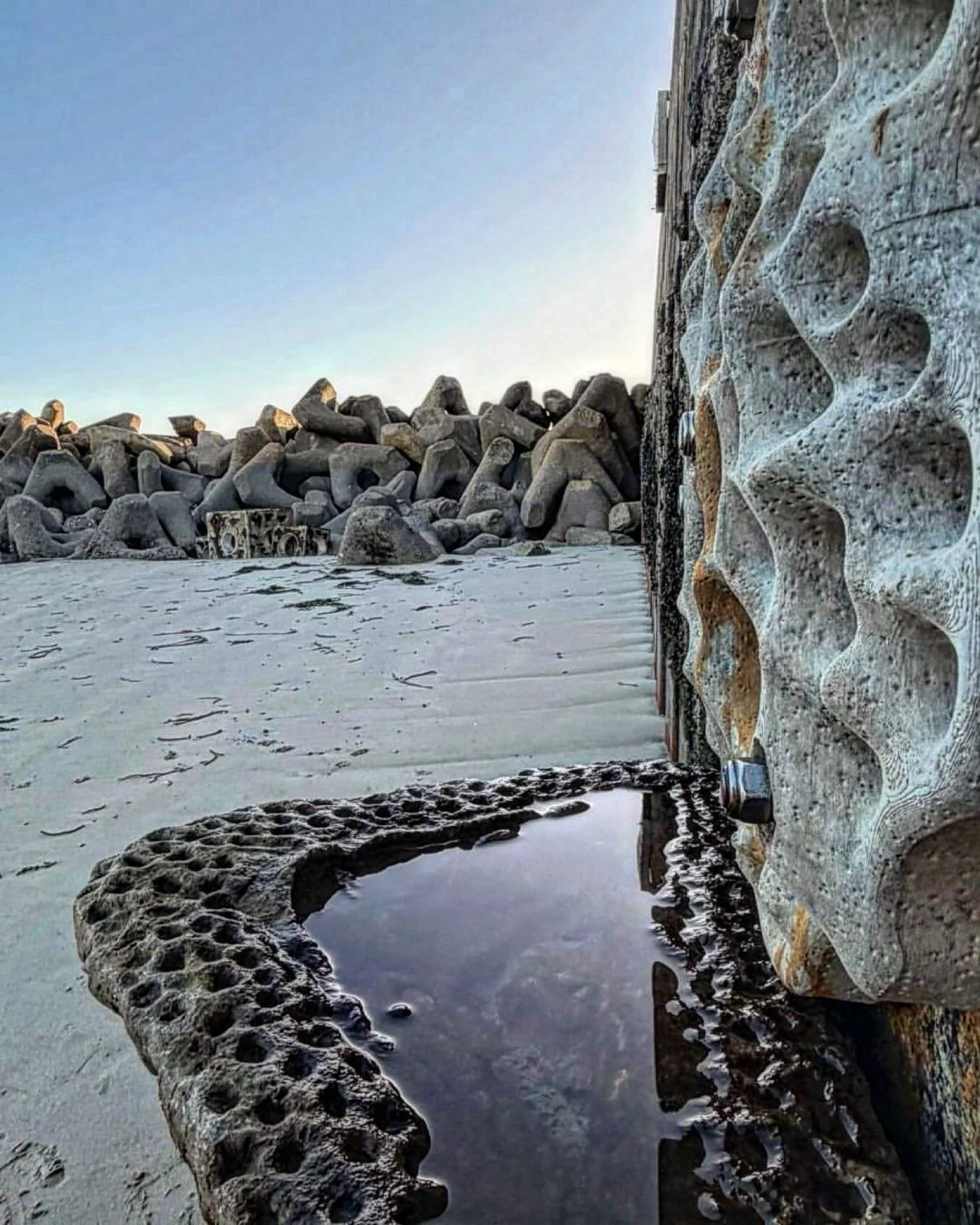 Love this photo by @shoreham_port showing a @livingseawalls Tile and our own Artecology CoCreate B-Type Vertipool deployed so close together they&rsquo;re almost touching. 

We look forward to watching an ecological connection grow between these two 