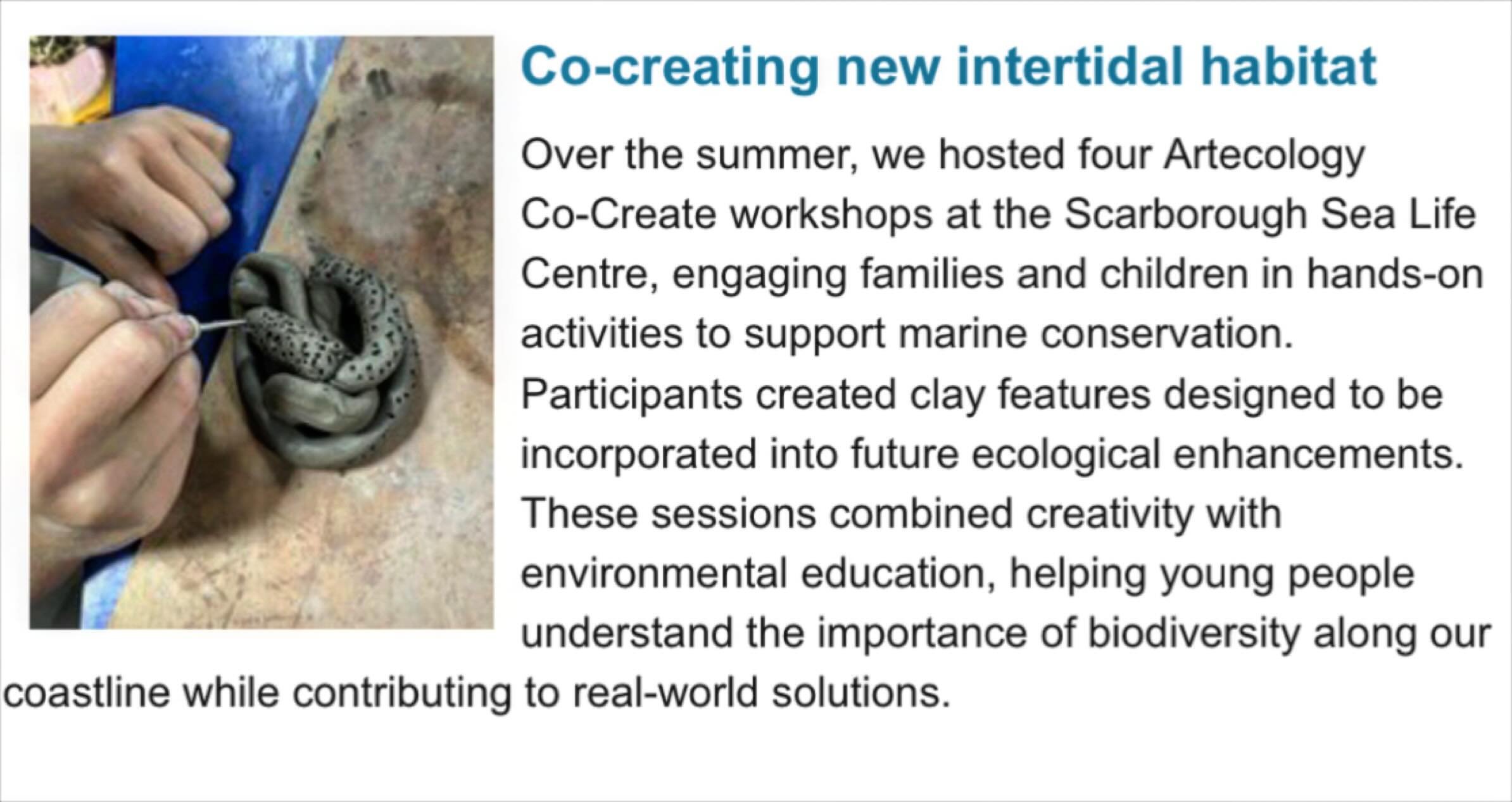 Another good reason to sign up for the @yorkshiremnp News Letter!
It&rsquo;s been great bringing our unique Nature &amp; People Inclusive Design methodology to Yorkshire this year.
Working in partnership with commissioners @yorkshiremnp , tourist att