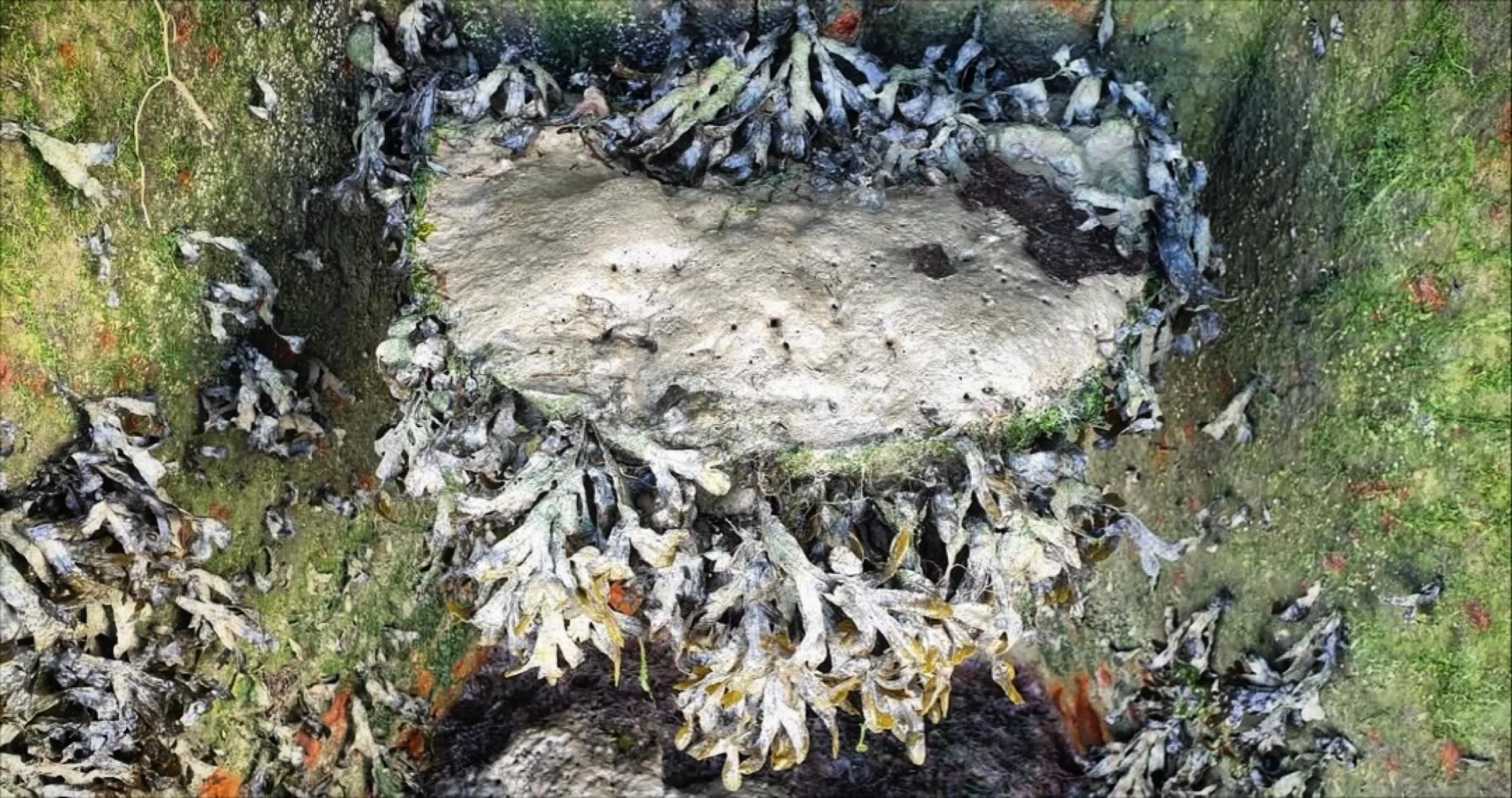 Vertipools aren&rsquo;t just for Christmas&hellip;&hellip;No wait, that should be&hellip; Vertipools aren&rsquo;t just for water, they&rsquo;re for mud too! 😉