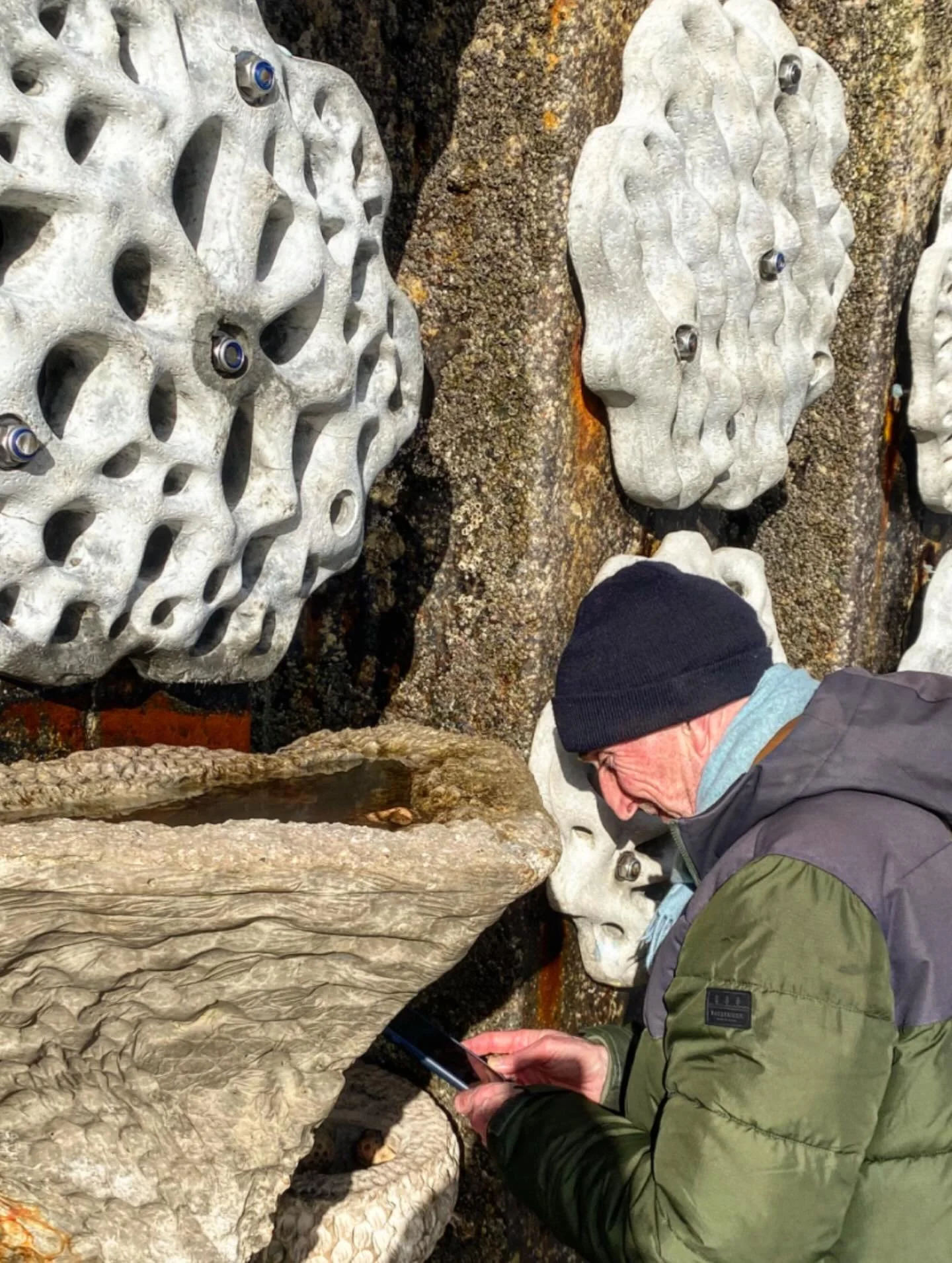 @mandodoug from @cityartsportsmouth, inspecting the bioreceptive ceramic artefacts he created with school children from Shoreham during an Artecology CoCreate workshop last year. What began as hands on making is now a living scaffold, supporting a ri