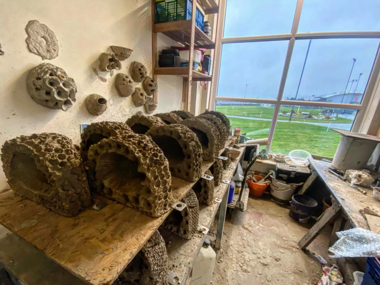 Bit grey out today, but the wildlife habitat production line continues whatever the weather!