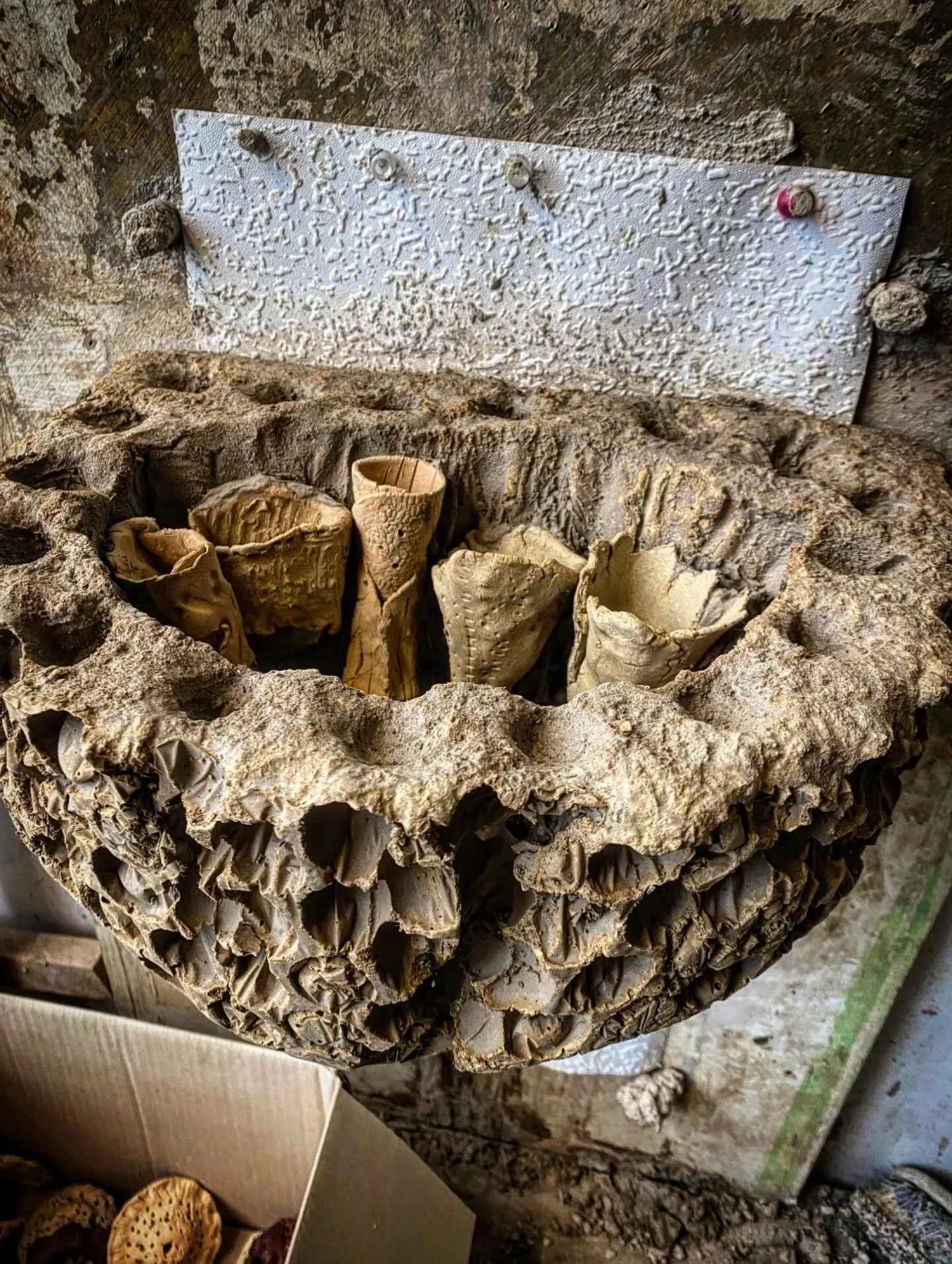 The wonderful world of Nature Inclusive Design fashioned by the processes of Artecology CoCreate. 

And in this moment a new word for the Oxford Dictionary materialised in our grey matter!! - &ldquo;Prodetermined&rdquo;.
 
pro&middot;de&middot;ter&mi