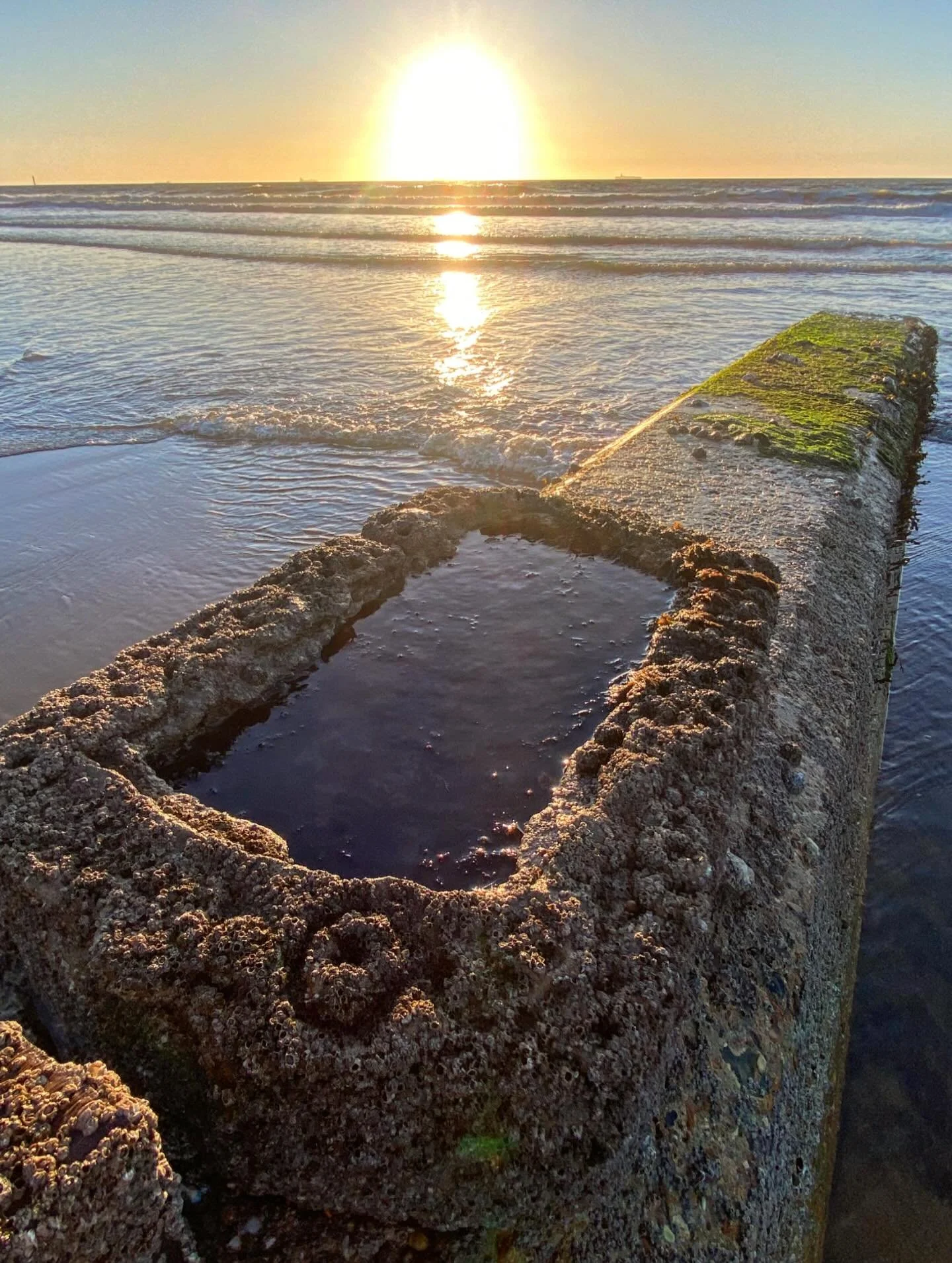 Not for profit nature inclusive design. 
No business as usual shenanigans&hellip;.