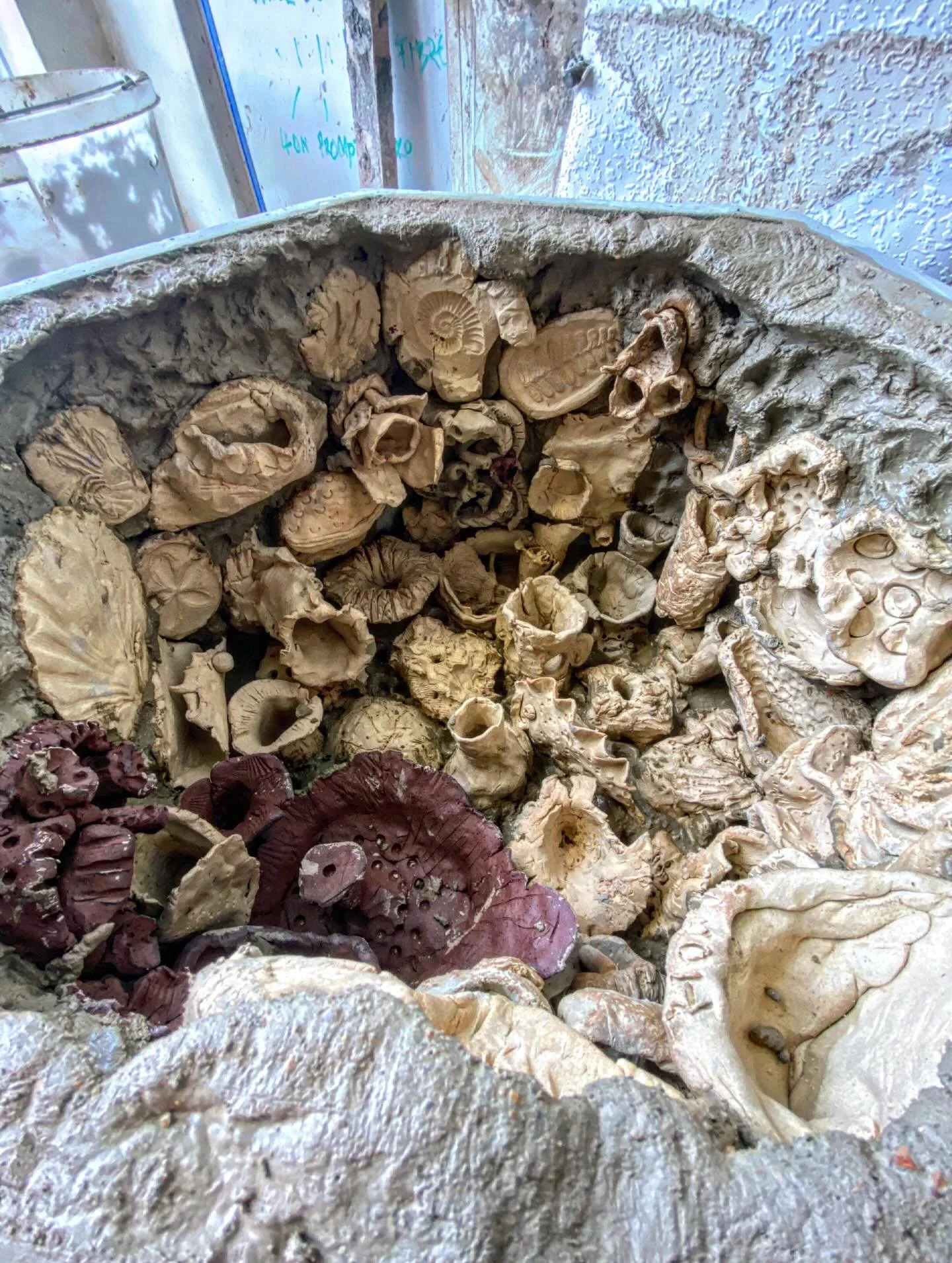 Get yer #photogrammetry round these bad boys&hellip;.if you dare 😂!

The hard science consistently tells us that the more structural complexity the better. 

Righto, we said, in that case we&rsquo;d better get some OI powered 3D printers on the go (