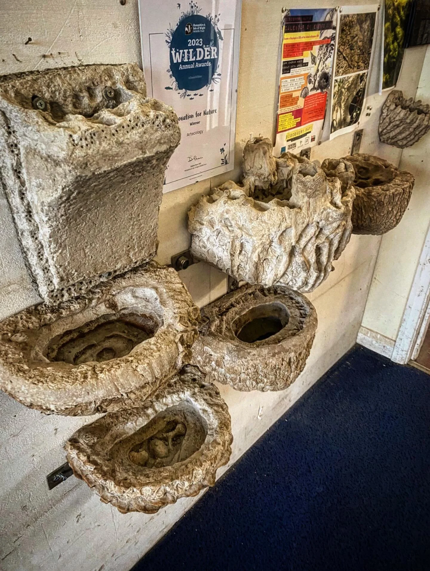 Artificial rock-pool prototypes hanging on the studio wall.