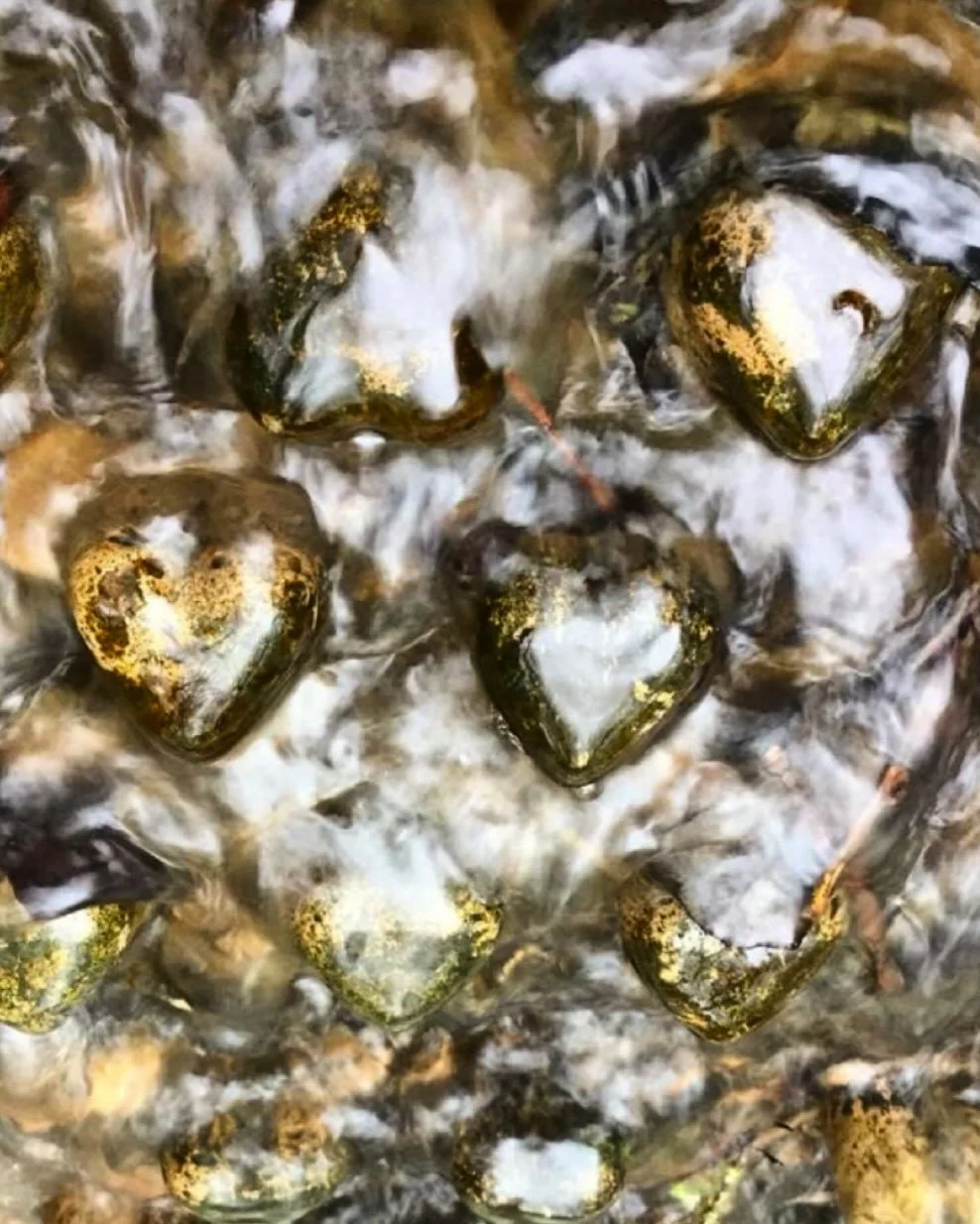 LOVE EELS ❤️

Artecology eel ladder- &ldquo;Eelevator&rdquo;.
#valentines