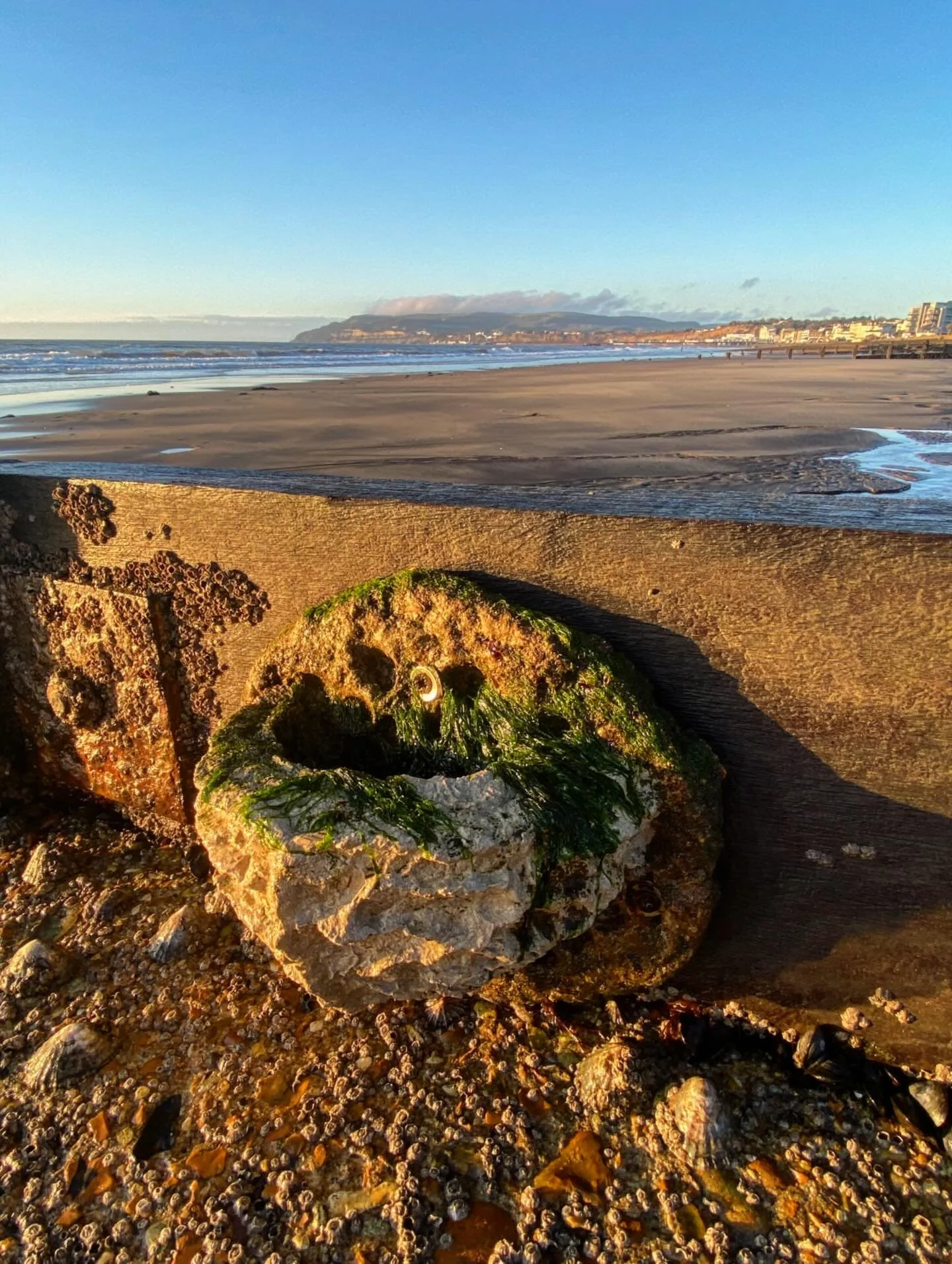 A Vertipool cast in beach sand. Photographed at Science Beach, publicly accessible field testing area in Sandown Bay, Isle of Wight Biosphere Reserve.