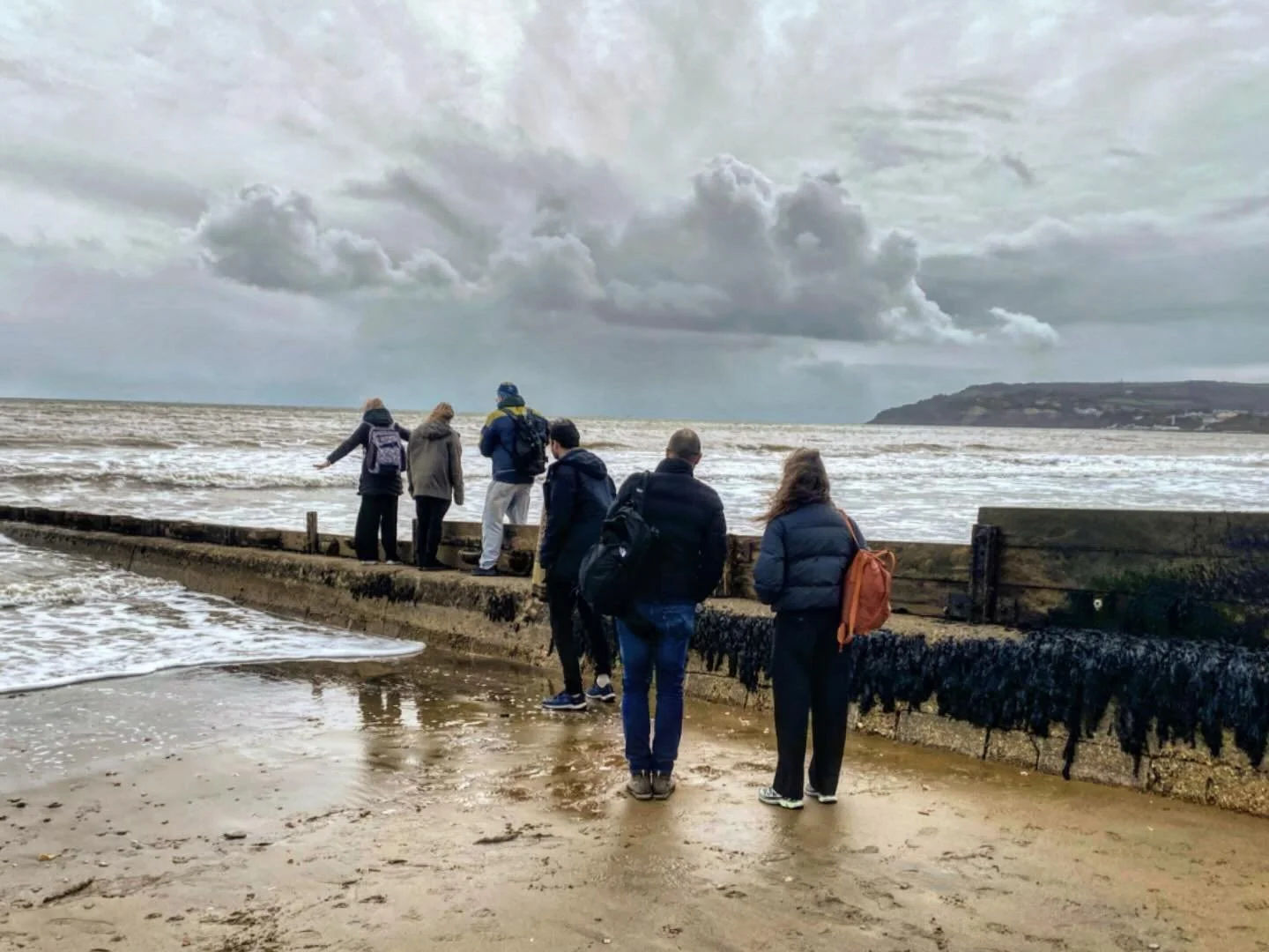Welcome to Sandown, home of STEAM. Science Technology Engineering Art &amp; Mathematics.
Scientists from as near as Southampton and far as Scotland visited Sandown Bay today to see Artecology in action both at Science Beach and in our studio.